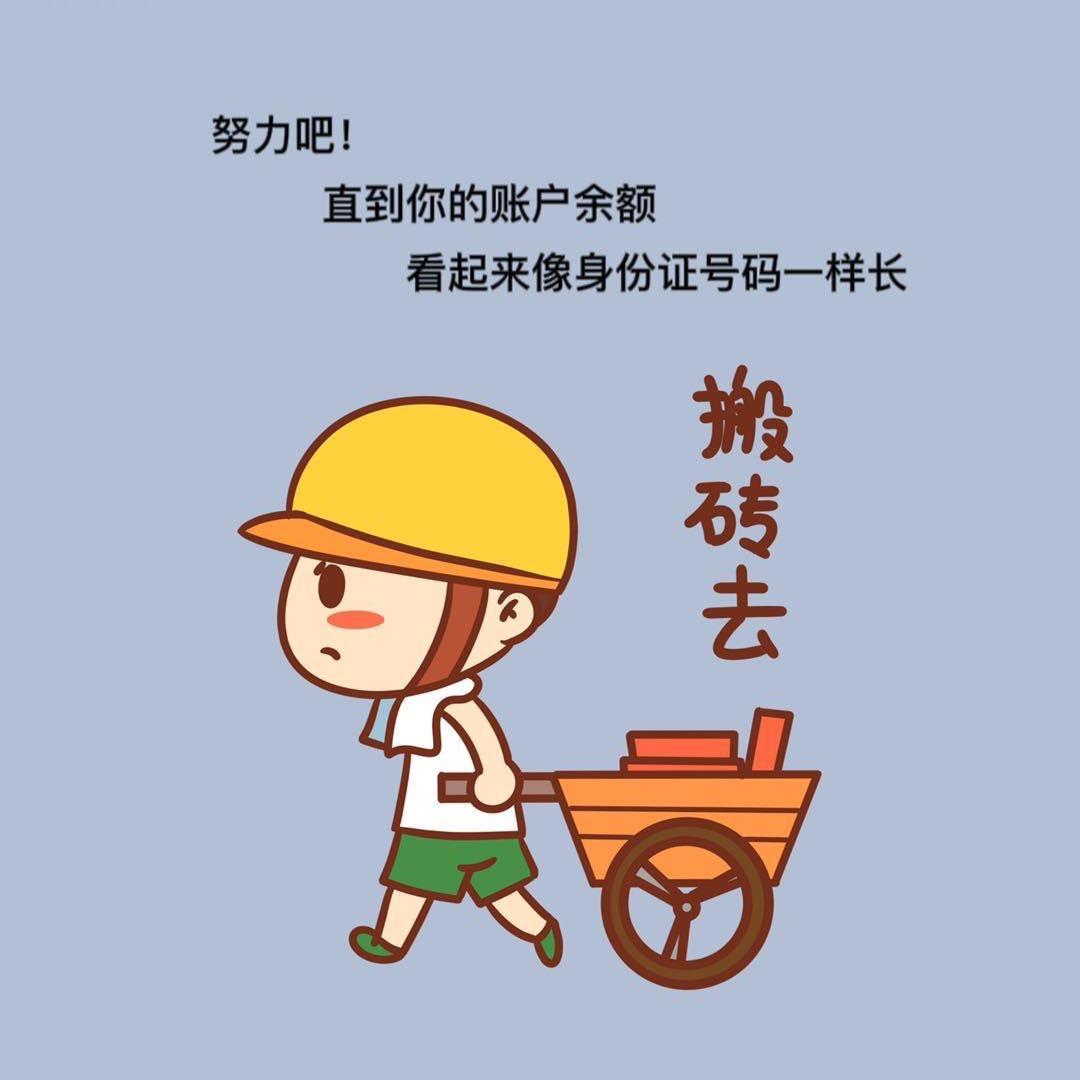 花贝度佳人