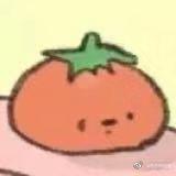 积极向上的西红柿