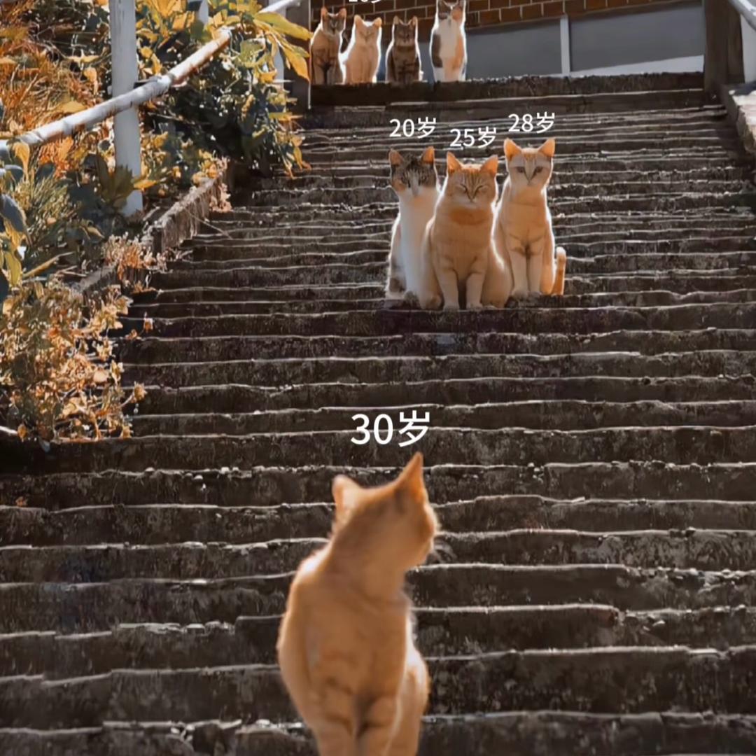 A_阿伟