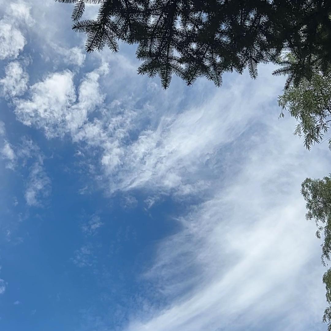 北境潮鞋