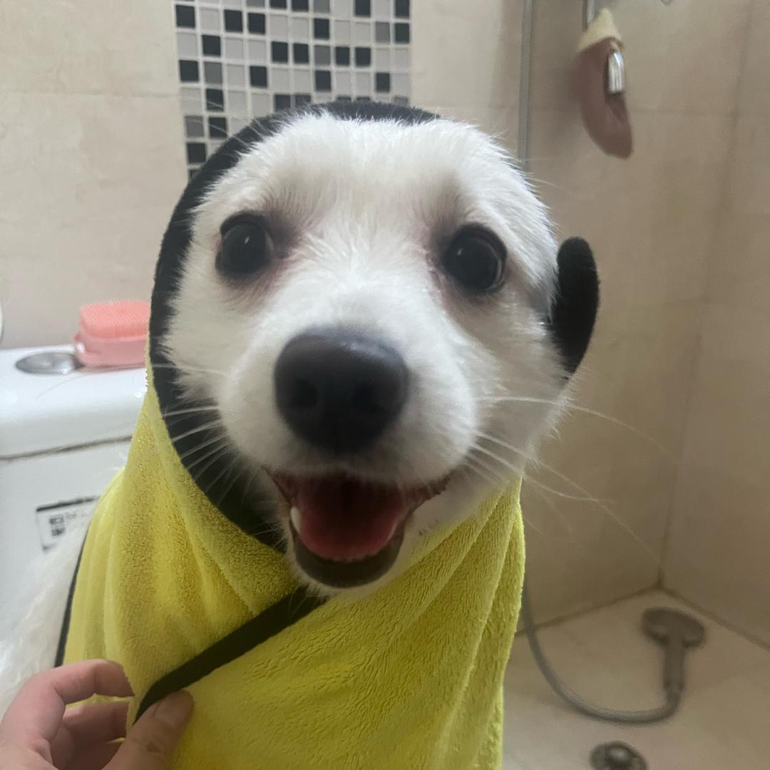 别小萌～爱喝酒