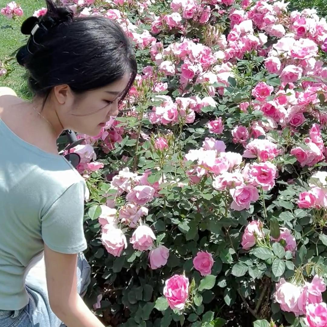 桐庐鹿屿白美学（小逸）