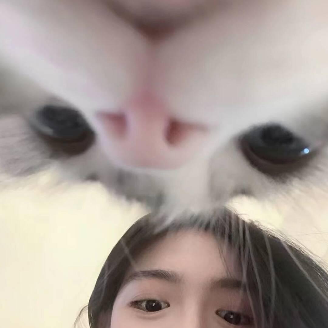 德德是露