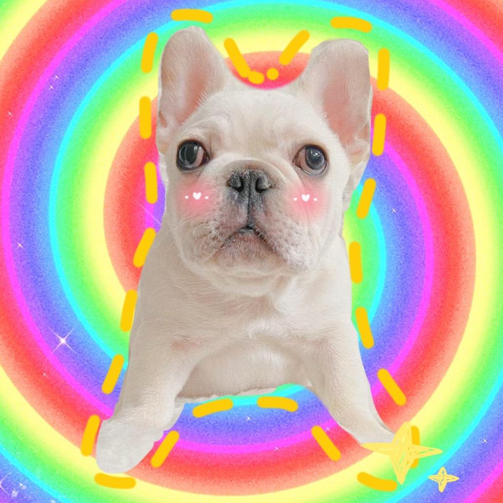 牛大爷的幸福生活