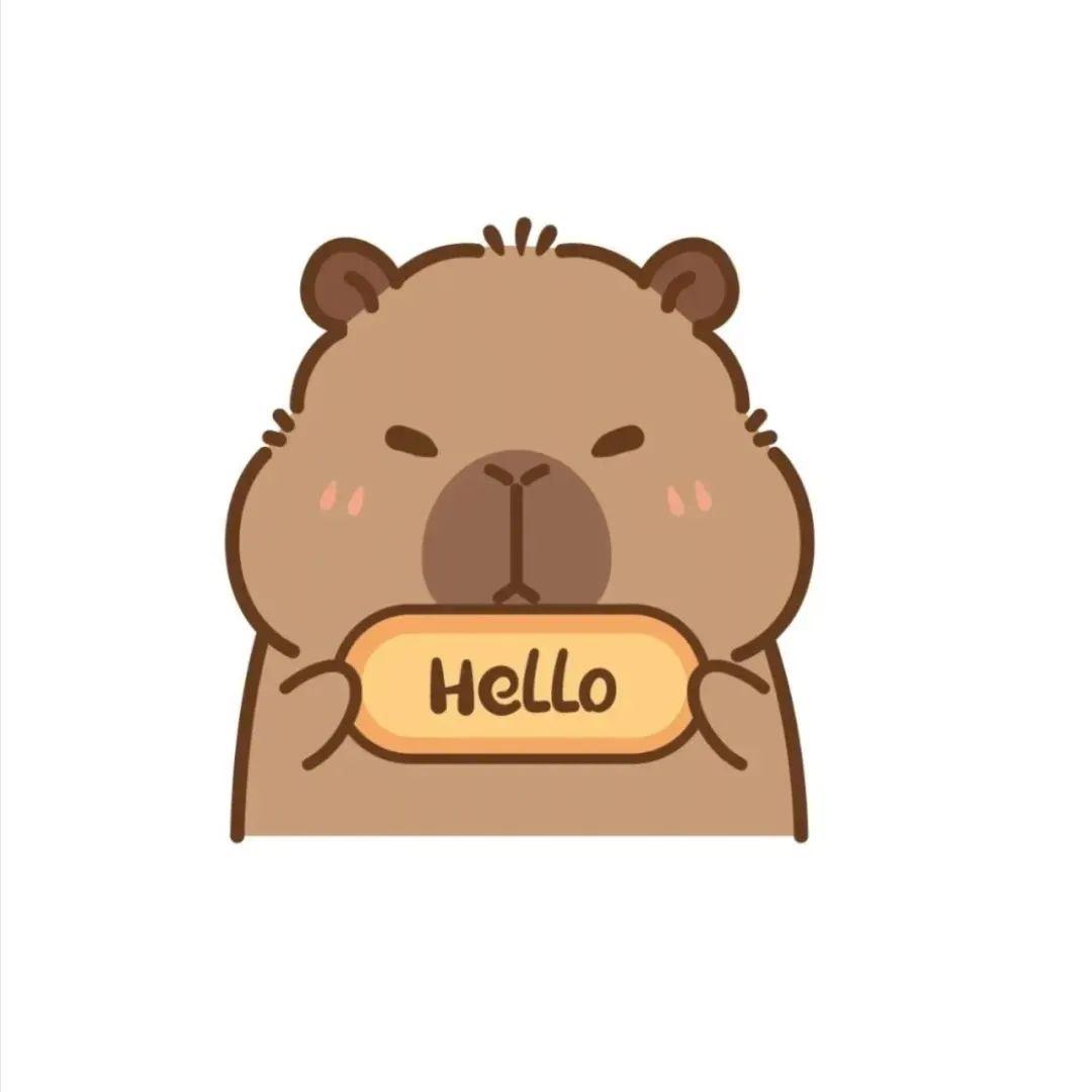 小伊包包