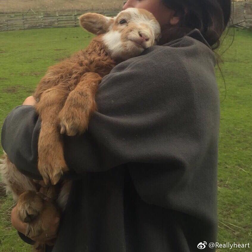 一个两个三个