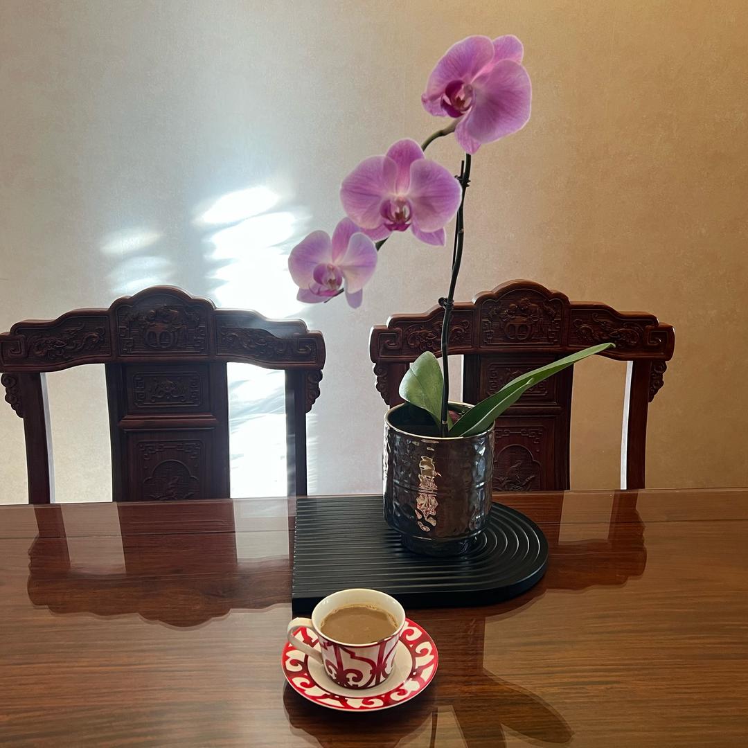 节节高