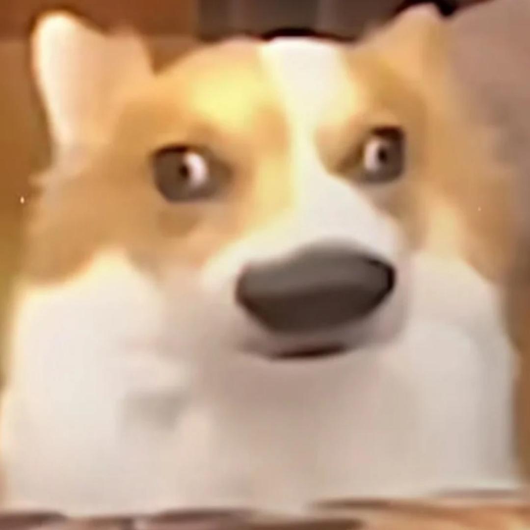 龙卷风摧毁停车场