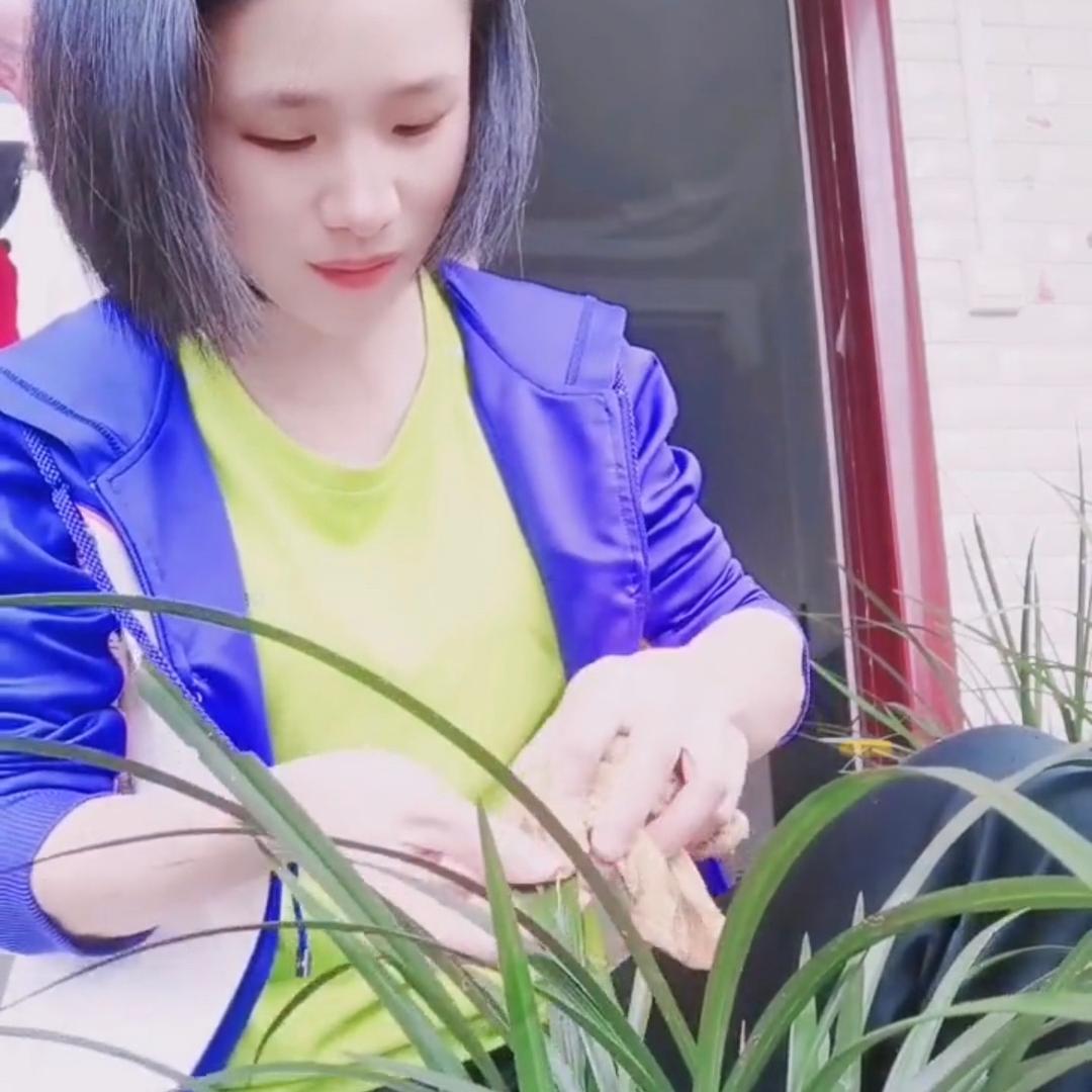 咸丰县美美花卉