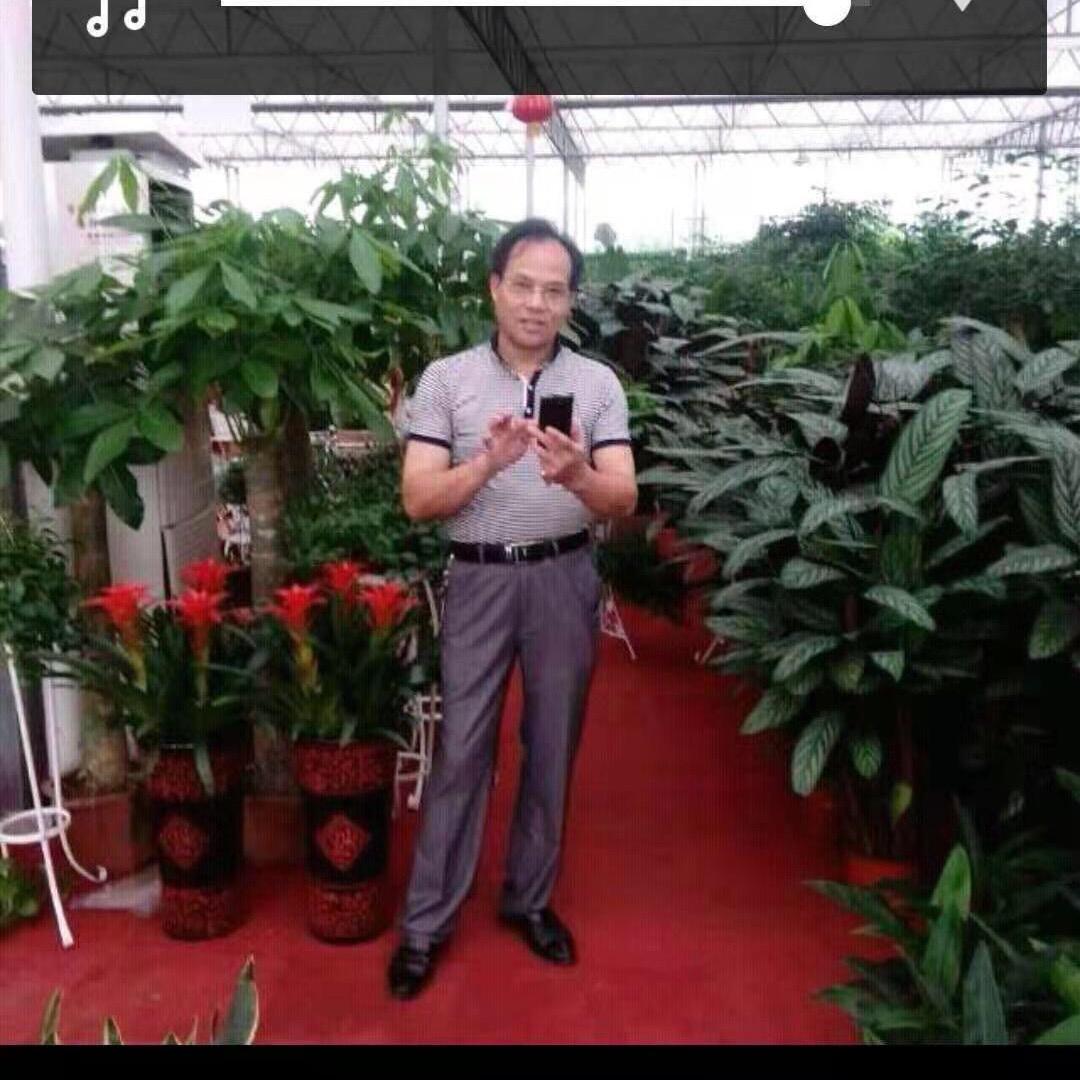 人生如戏