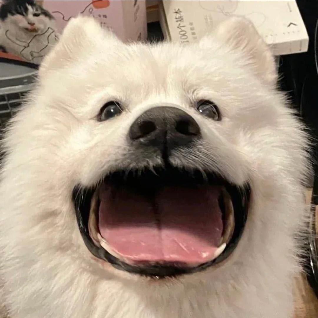 粥🐑不喝🥣