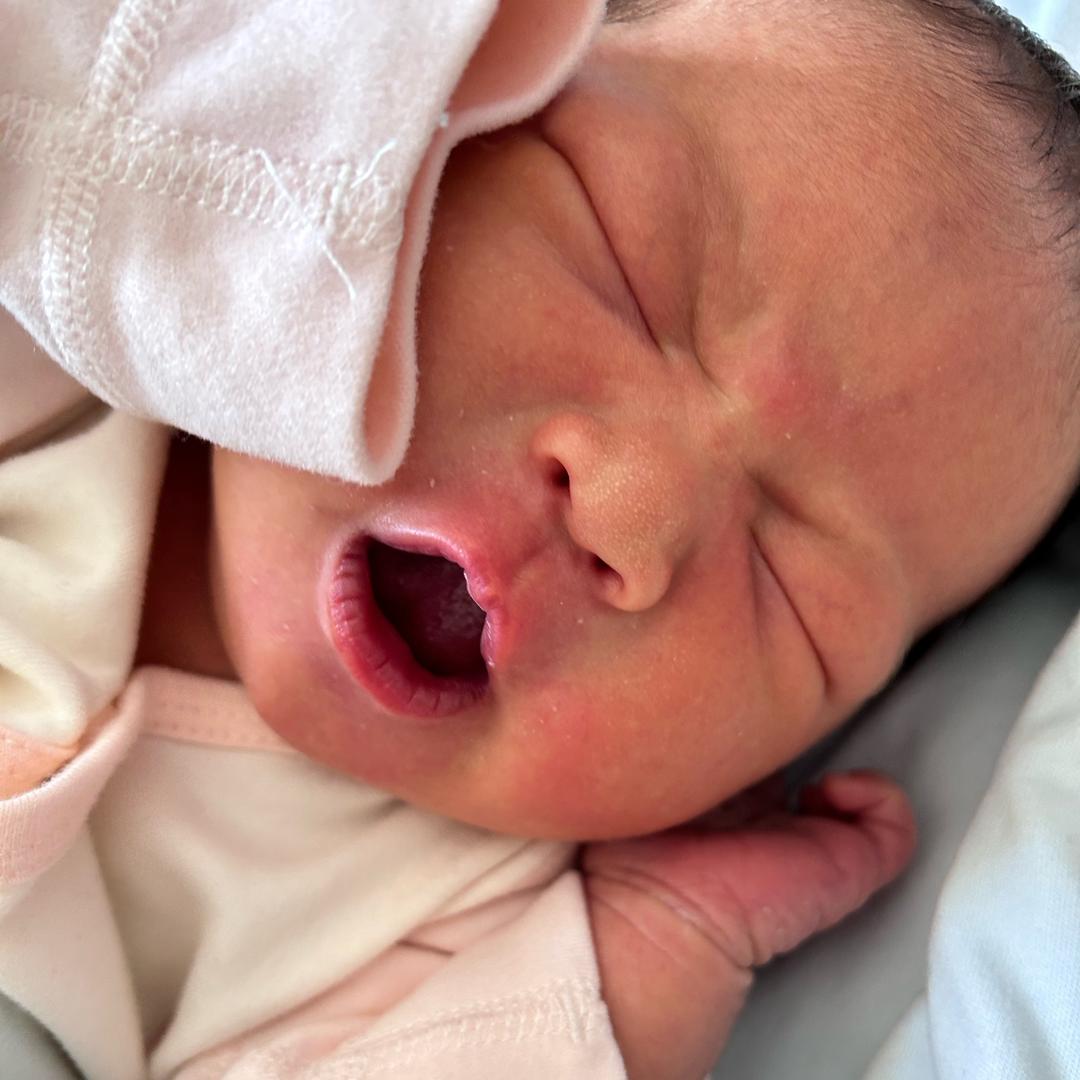 一只小南瓜的日常