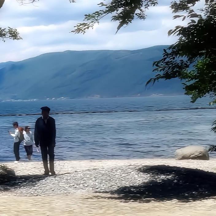 不会剪辑的剪辑