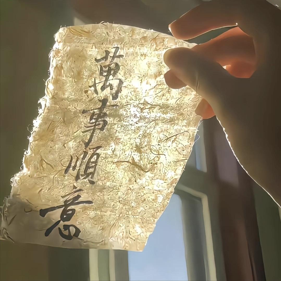 是陆妹🌿