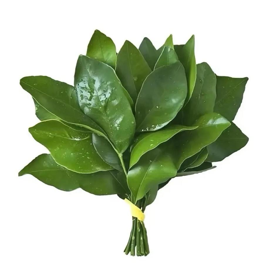 ✨好运来啊啊啊