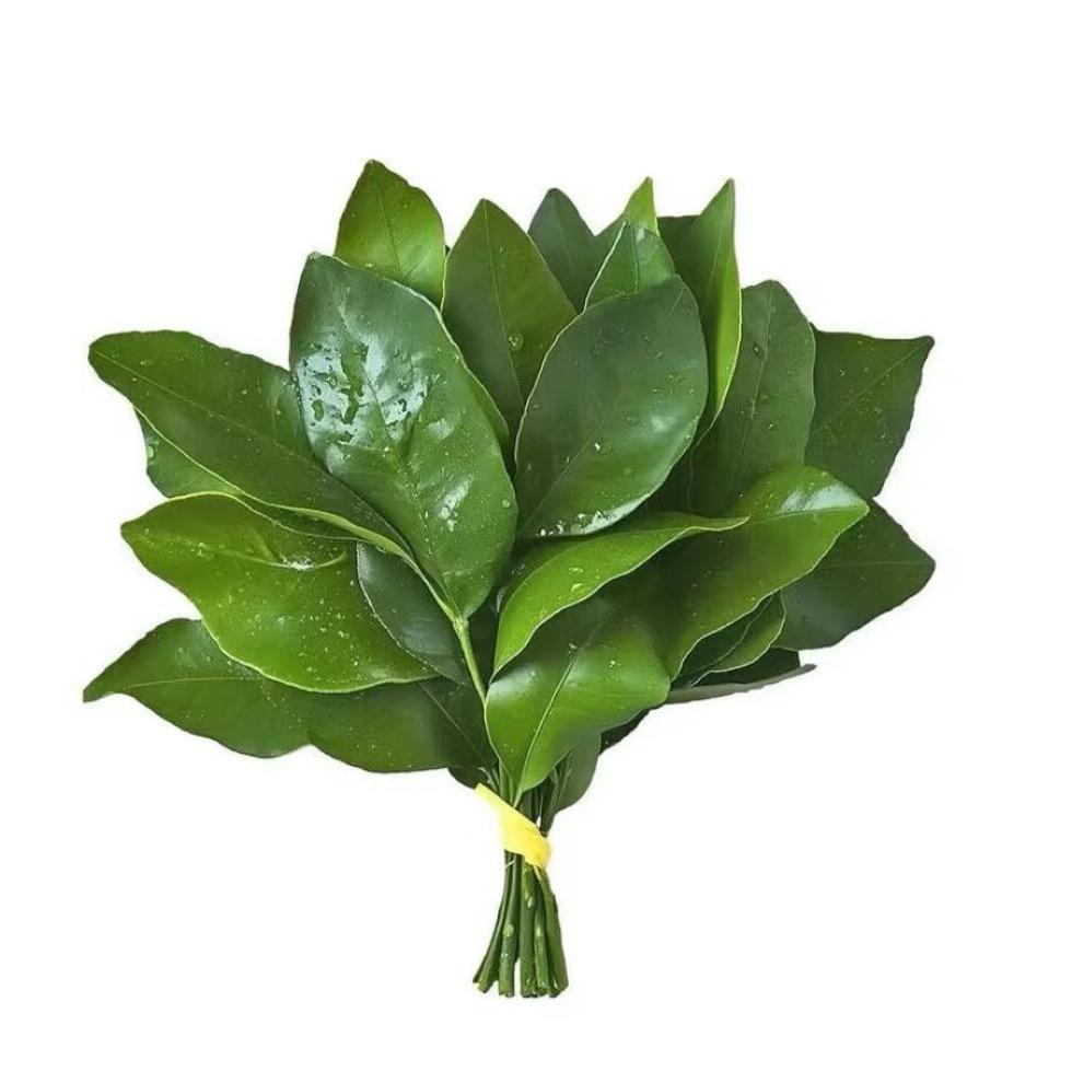 十月
