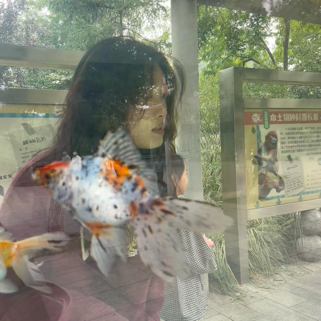 小胡萝卜白菜汤