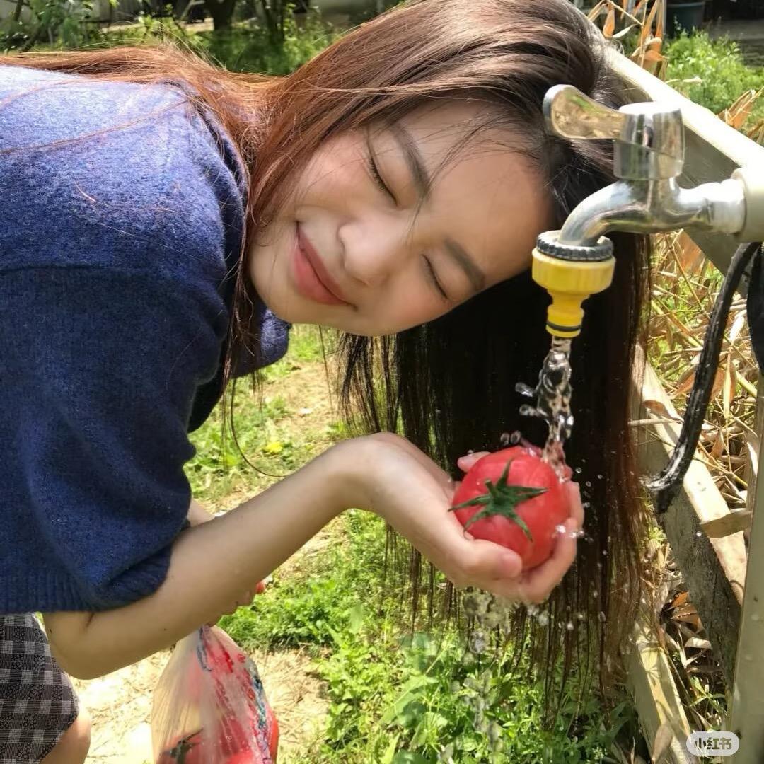 西红柿炒番茄