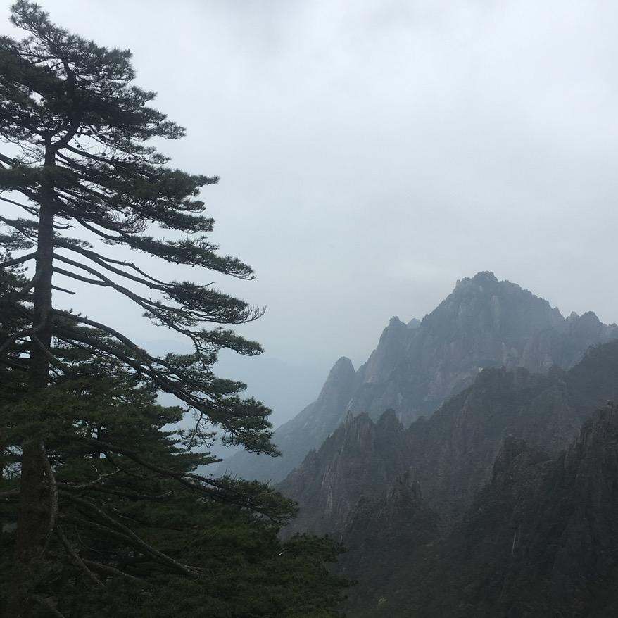 自强不息的我