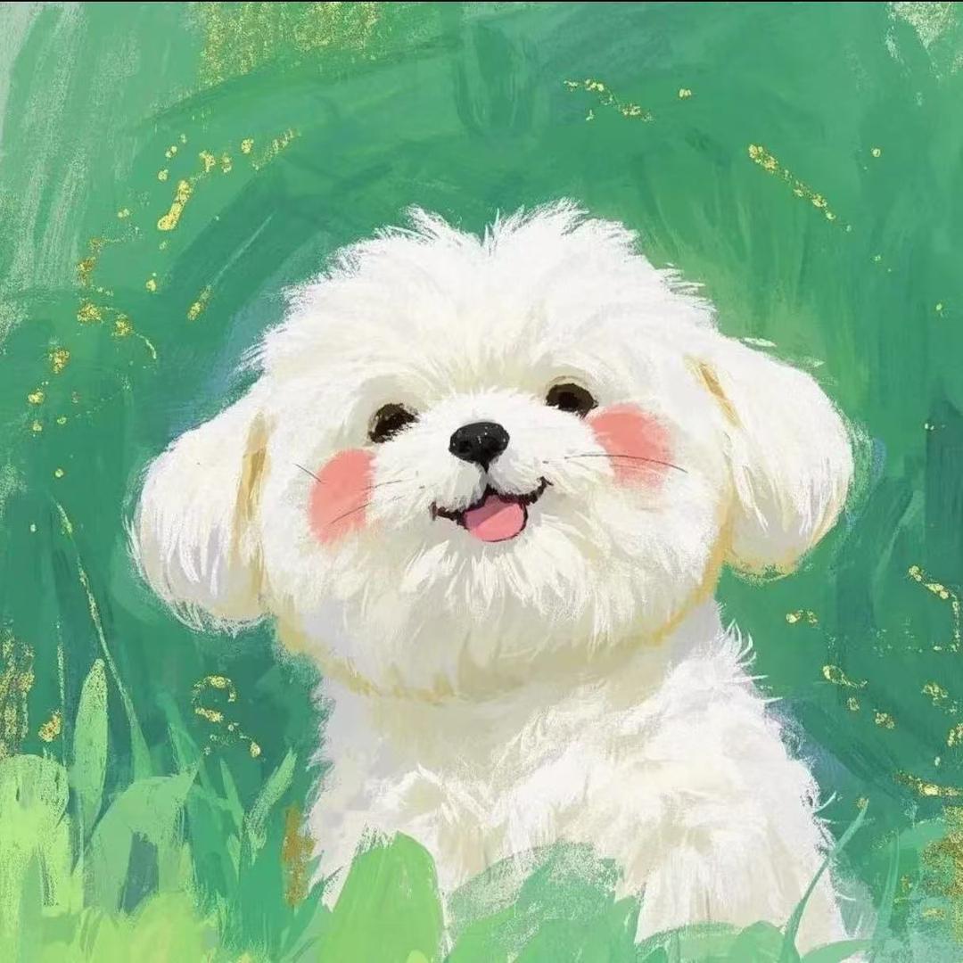 富贵儿🐩家庭繁育犬舍