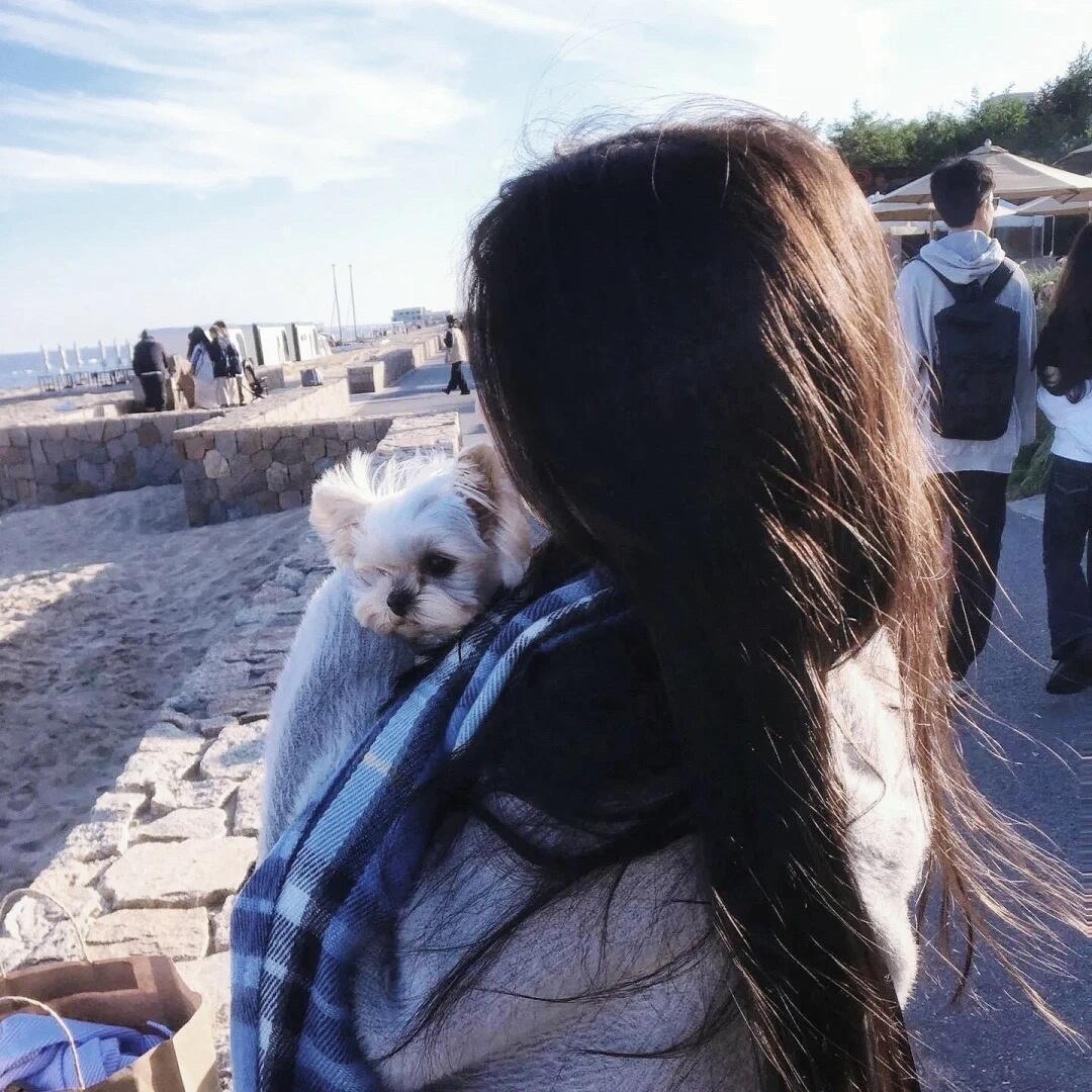 小狗汪汪叫