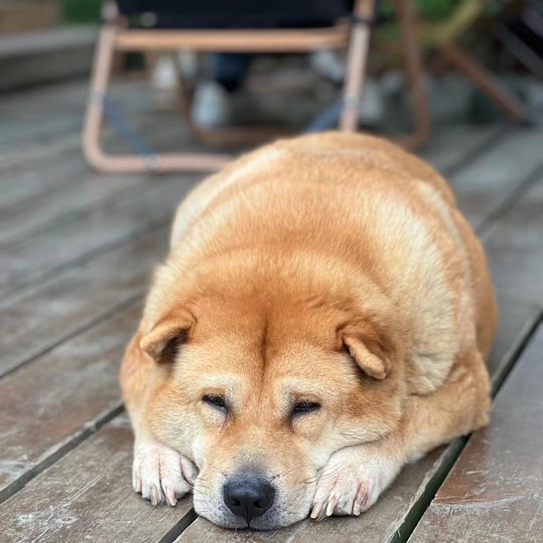欢喜