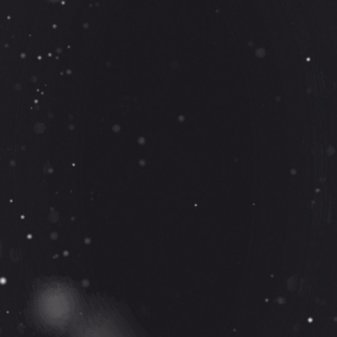 用户744465215524388117