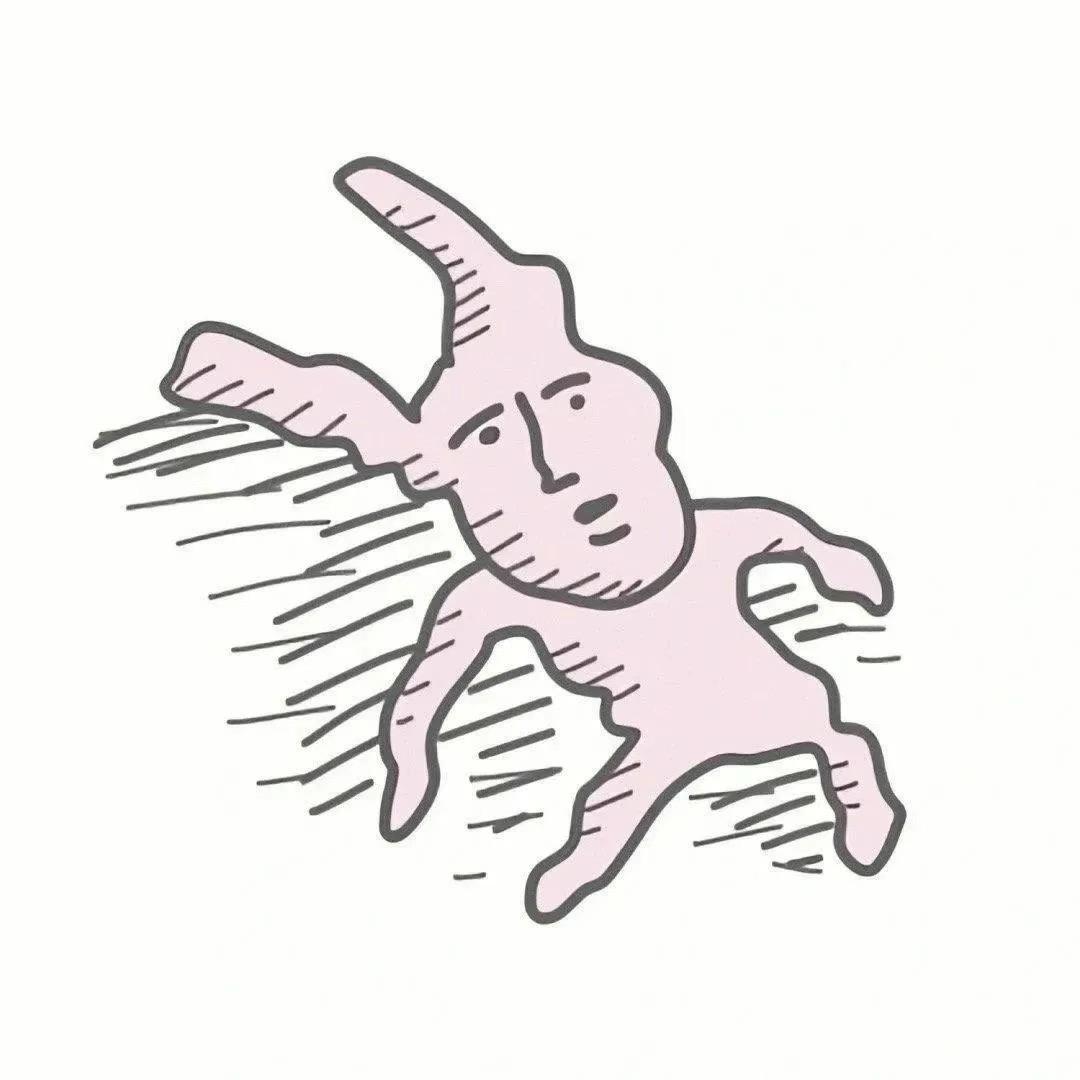 针针大王✨