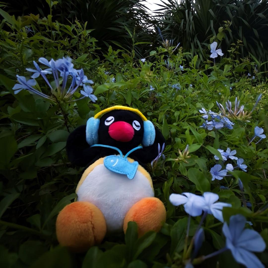 𝙋𝙂𝙚𝙤𝙧𝙜𝙚·