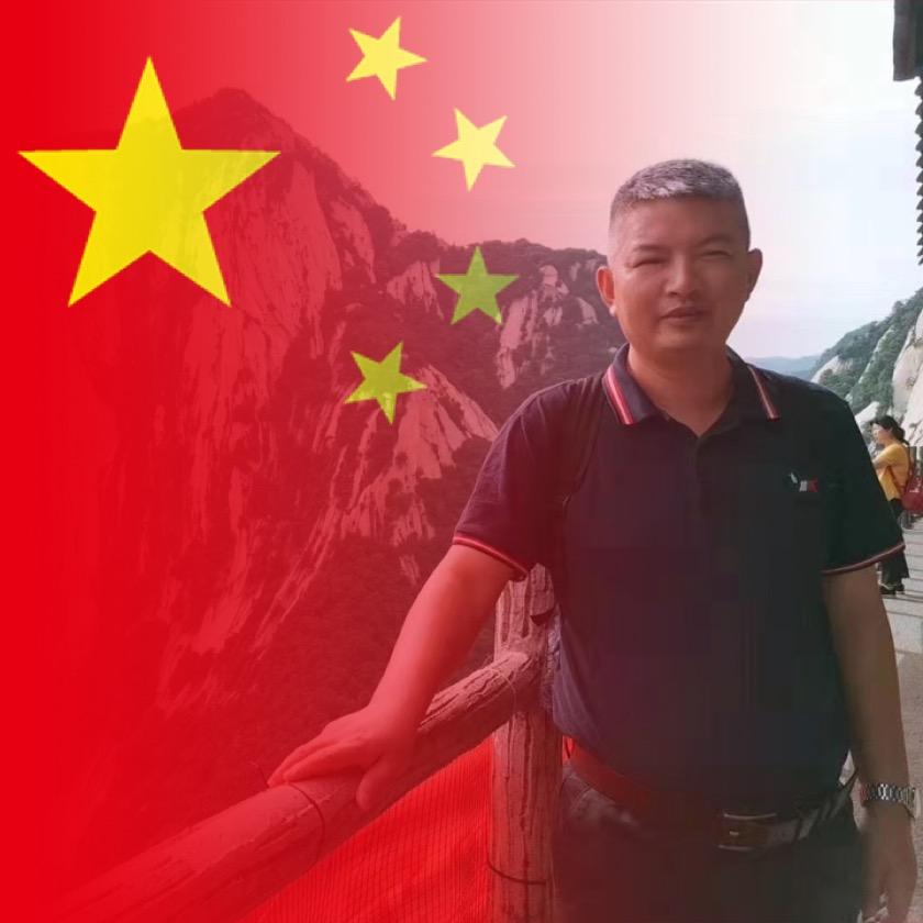 卢振动