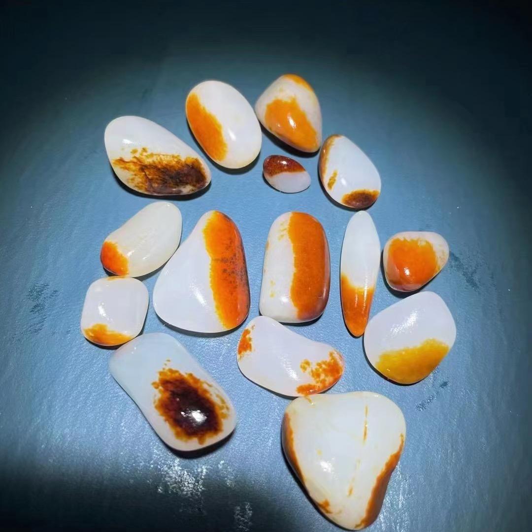 籽玉旺财2
