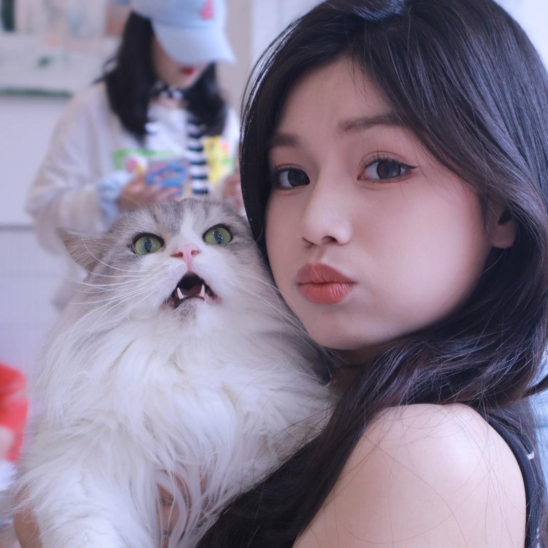 小小毛