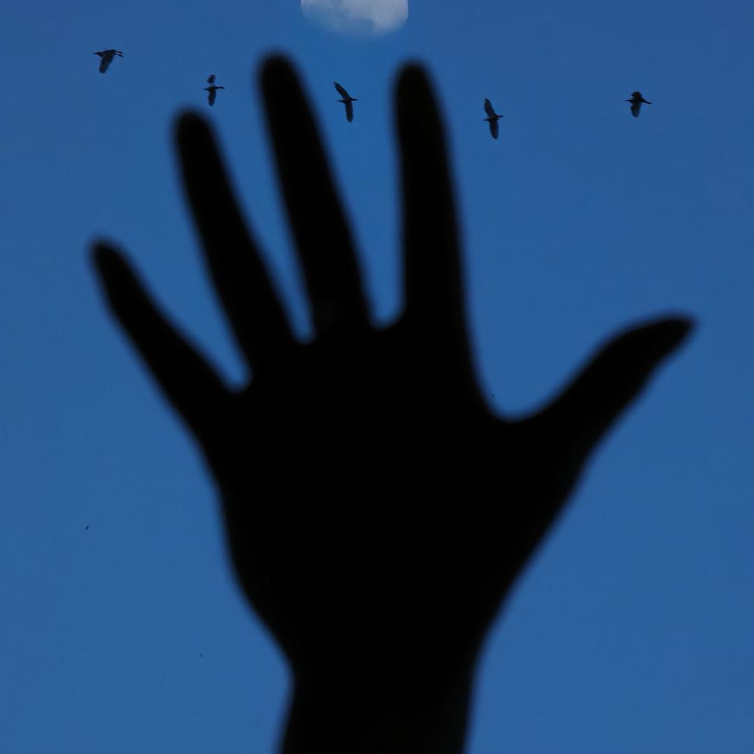 C8
