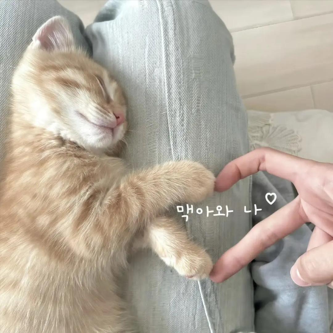 无聊的玉米粒捏