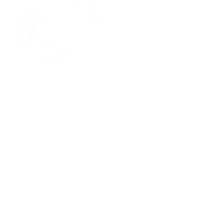 yz♛🇭🇰🇲🇴