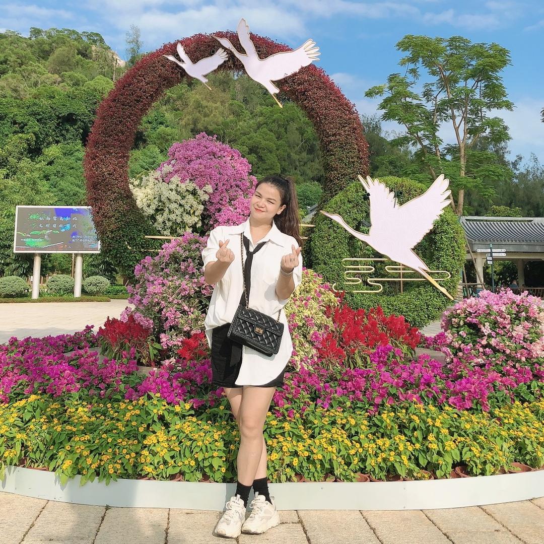 秦舞飞扬