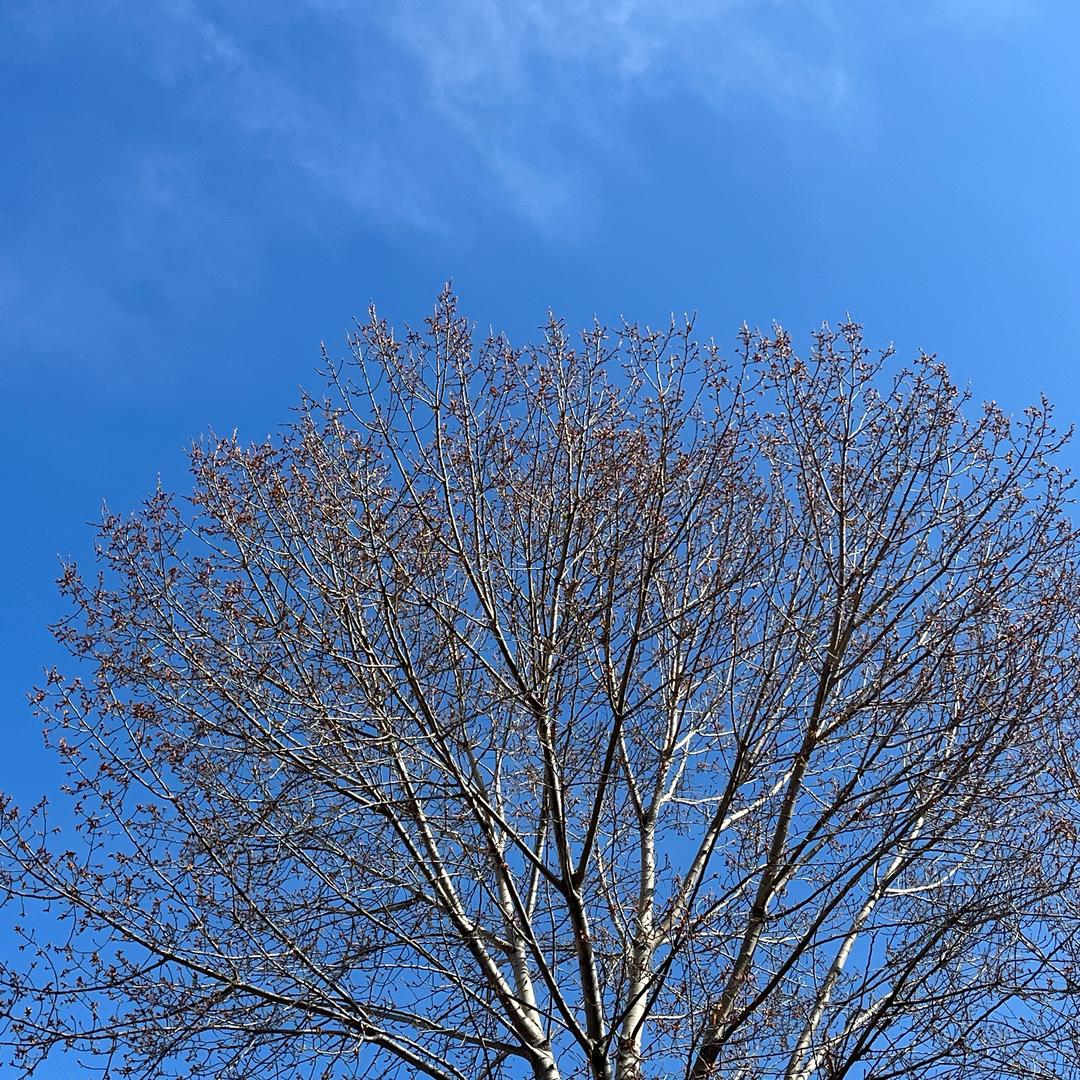 香格里拉境秘土特产店