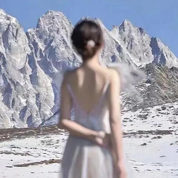 臭宝不吃香菜.
