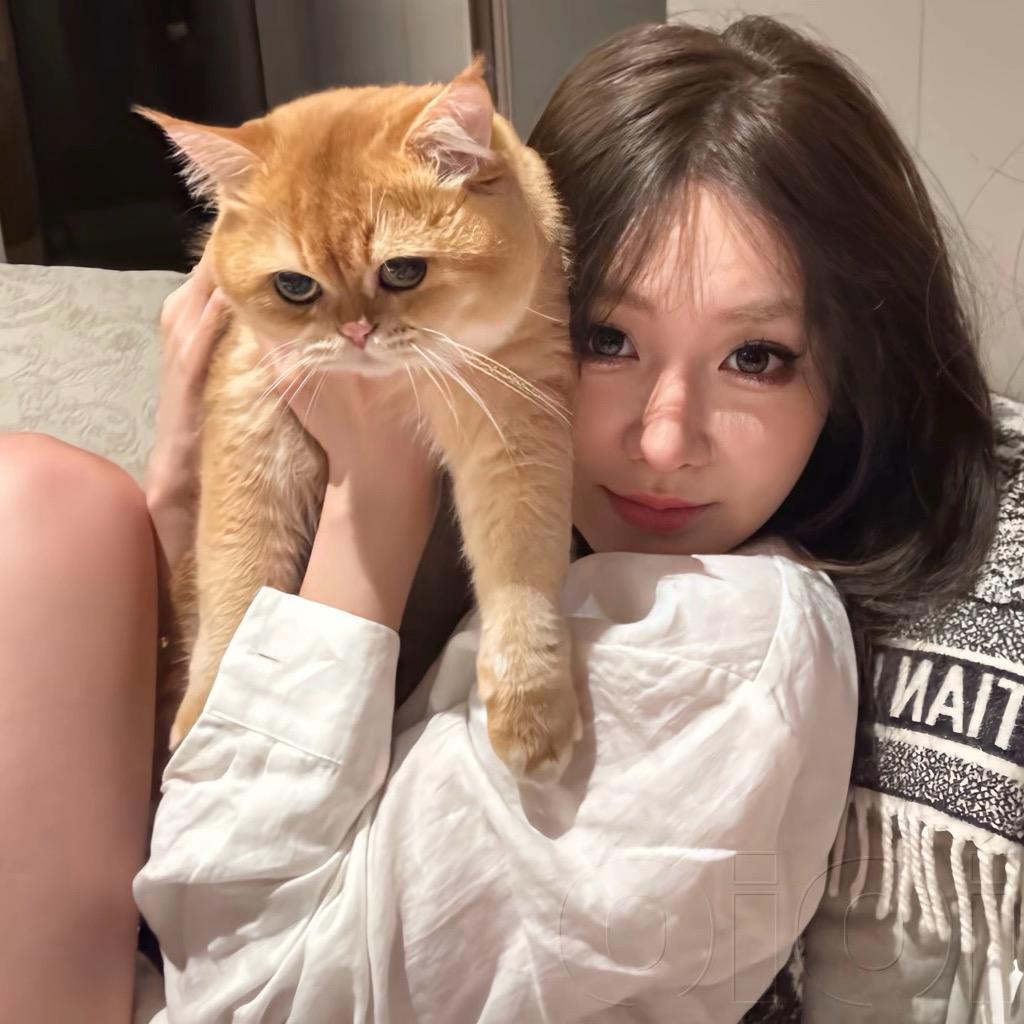 白鸽·🦋