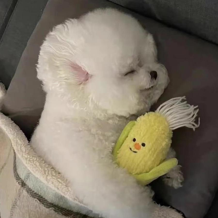我就是我，烟火也是我