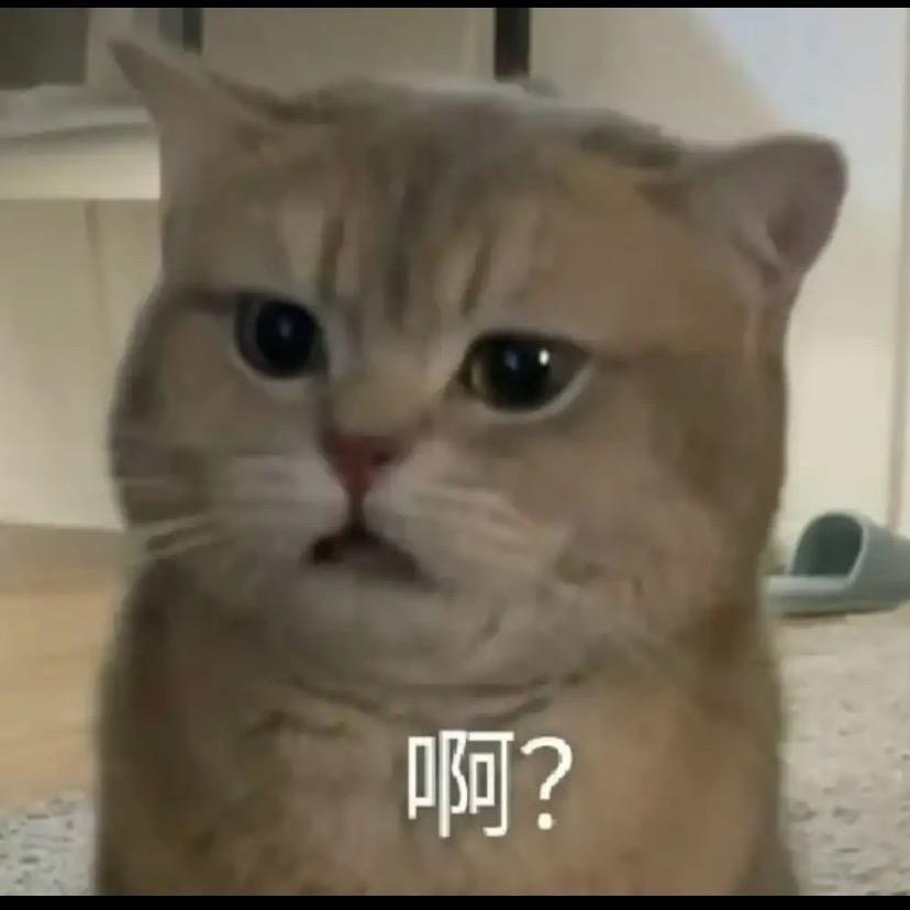 小新111