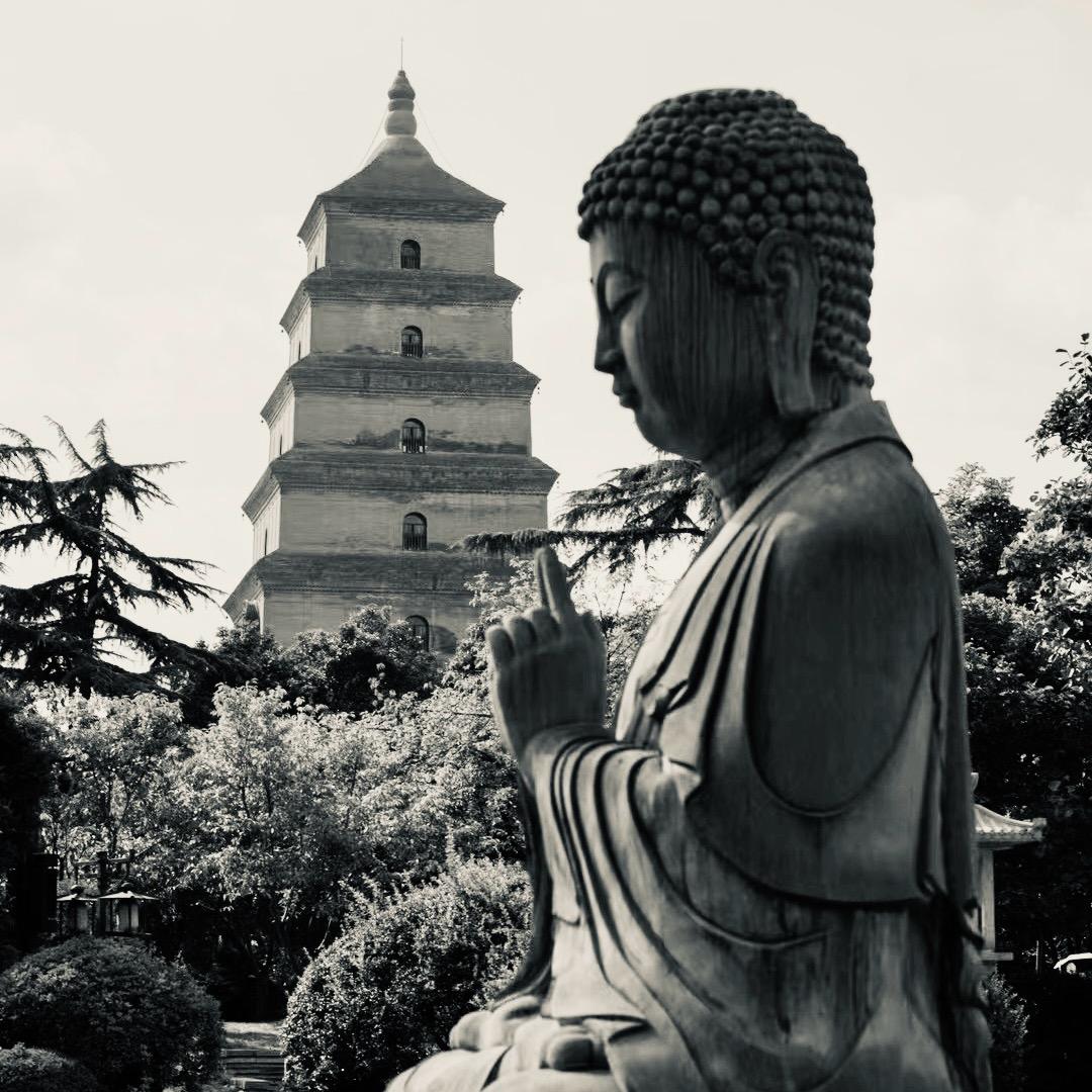 一个拍照的人~。