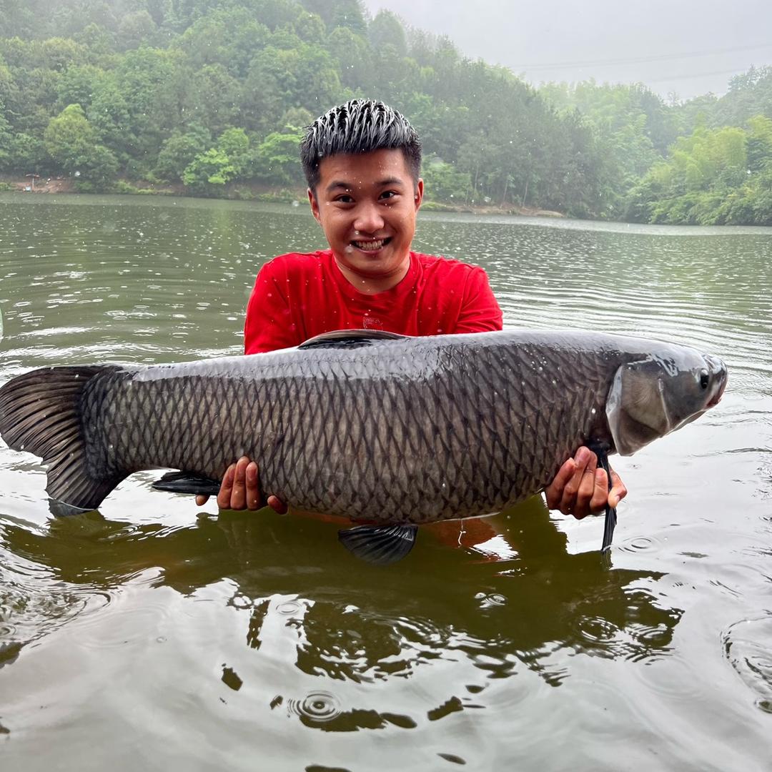 钓鱼直播小山东