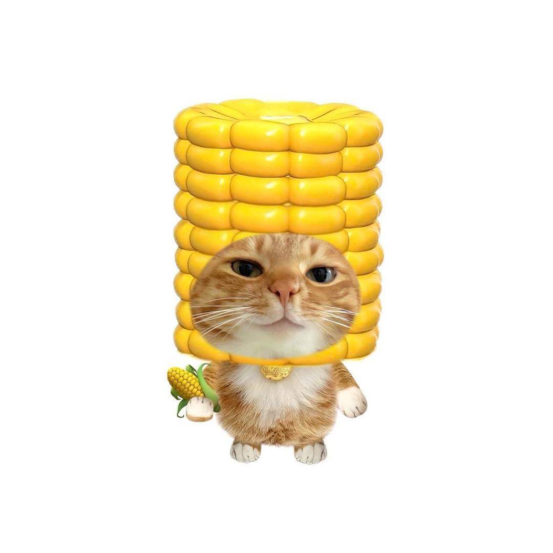 倾伊