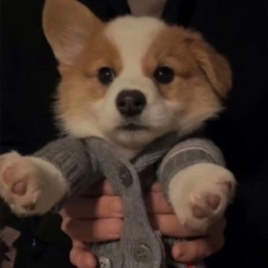 征途（二手跑鞋）