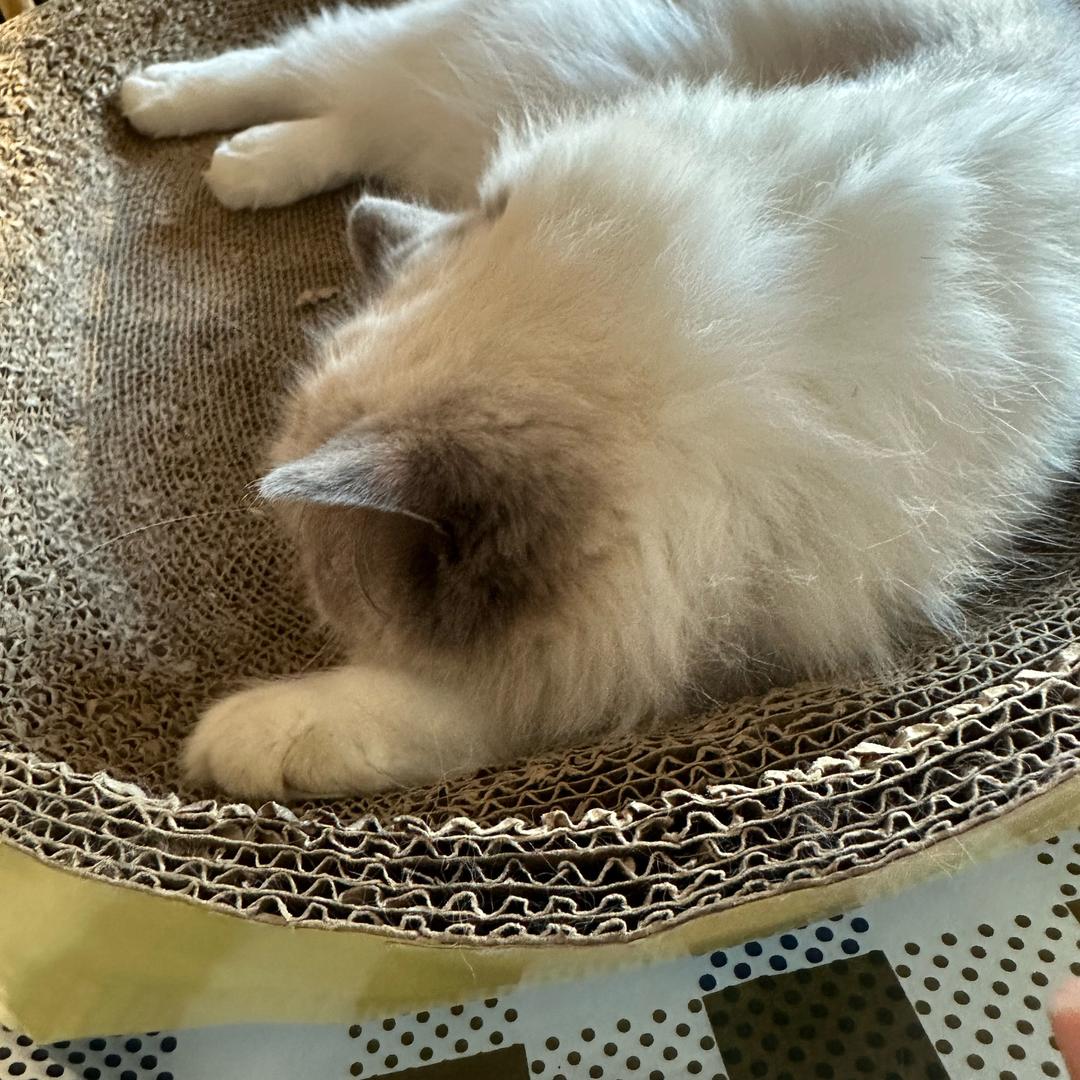 一觉睡到自然醒