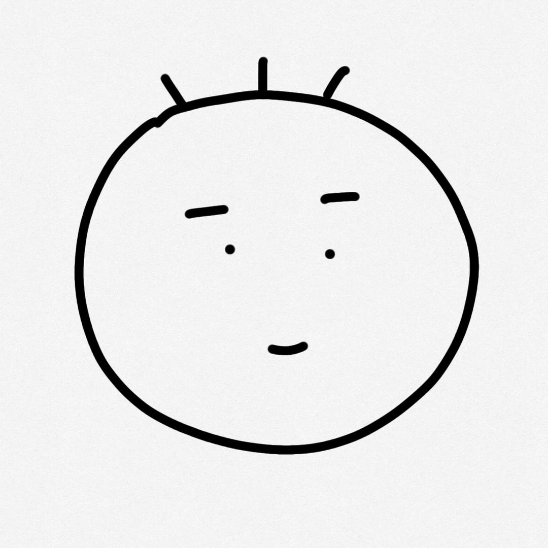 三毛日记