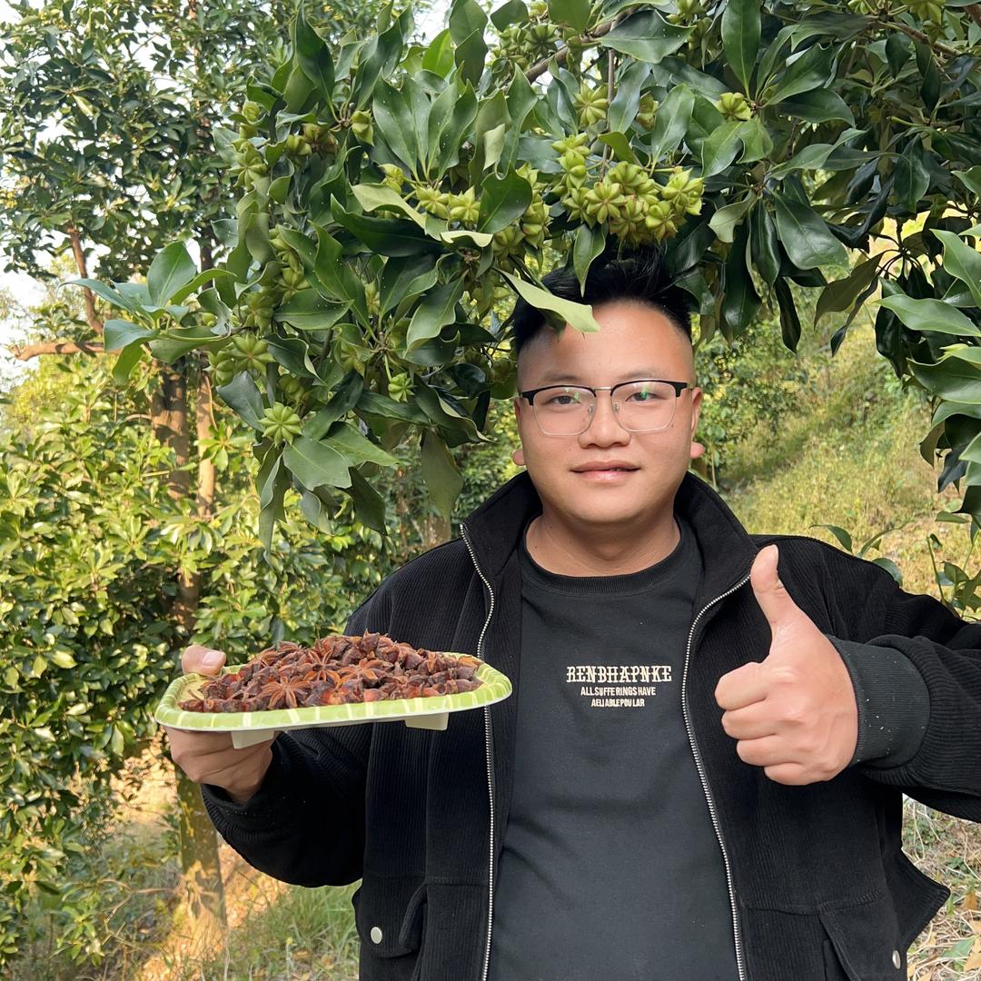 广西藤县阿幼八角香料