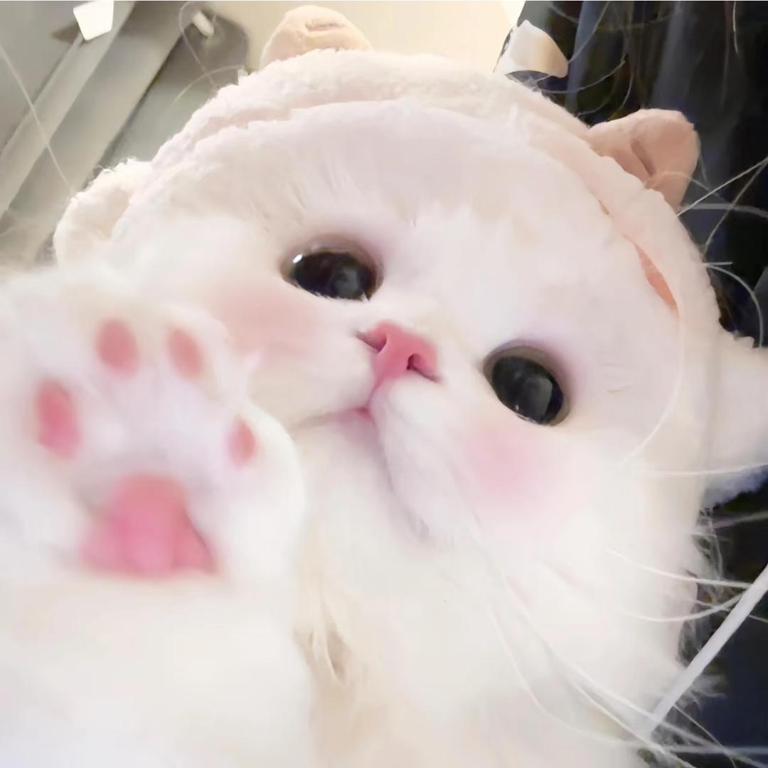 小奇ki