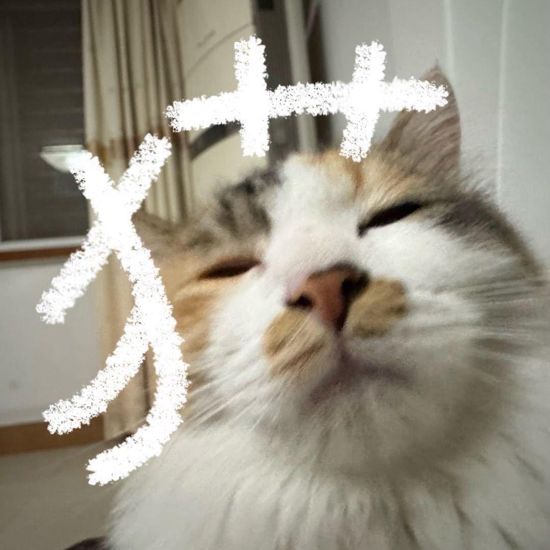 芙芙酱紫.